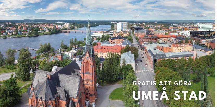 flygfoto över umeå stad